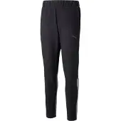 Puma Sportbroek 'Team Cup' grijs gemêleerd / zwart