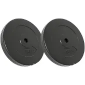 vidaXL Halterschijven 2 stuks 30 kg beton