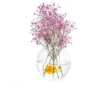 Balvi Atlantis Fish Vase Transparant