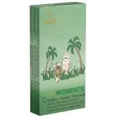 Amor *Wild Moments* 12 St
