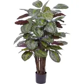 Maxifleur Kunstplanten Calathea Roseopicta kunstplant Deluxe 125cm rood