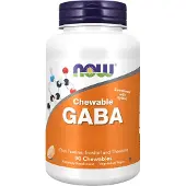 Now GABA (Gamma-Aminoboterzuur) Sinaasappelsmaak - aminozuur, gaba - gaba - gaba