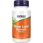 Now Olive Leaf Extract 500mg - 60 v-caps
