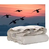 ISleep Donzen 4-Seizoenen Dekbed - 60% Dons - Eendendons en Eendenveren - Litsjumeaux - 240x200 cm