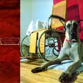Konkurrent Don Caballero - For Respect (LP)