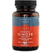 Terranova Fermented ginger 250 mg (50 capsules)