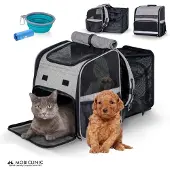Mobiclinic Pets, Rugzak voor huisdieren, Tula, Opvouwbaar, Goede ventilatie, Inclusief voerbak en zak, Meerdere openingen, Verstelbaar, 37x29x37,5 cm