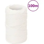 vidaXL Boottouw 2 mm 100 m polypropyleen volwit