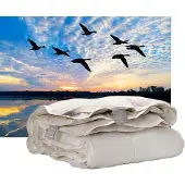 ISleep Donzen 4-Seizoenen Dekbed - 100% Dons - Eendendons - Litsjumeaux - 240x220 cm
