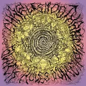 Import Charles Moothart - Black Holes Don't Choke (CD)
