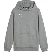 Puma Hoodie teamGOAL Casuals - Grijs Kids