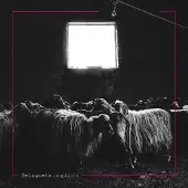Sonic Belugueta - Belugueta - Espigots (CD)