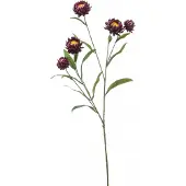 Hortus Kunst xerochrysum spray purple, 70 cm