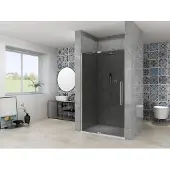 Van Rijn ST08 douchedeur met rookglas 95-105cm RVS