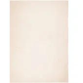 vidaXL Vloerkleed HUARTE laagpolig zacht wasbaar 120x170 cm beige