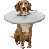 Trixie Beschermkraag Schuimrubber - XS 23-27 cm - Comfortabele Beschermkap voor Hond en Kat