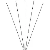 Massi Tour Disc Spokes With Nut 5 Units Zwart 294 mm