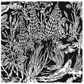 Konkurrent Eternal Tapestry - Wild Strawberries (CD)