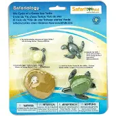 Safari Ltd Levenscyclus van een groene zeeschildpad