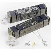 Harry Potter Gift Cracker Harry Glasses Necklace and Earrings
