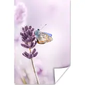 PosterMonkey Poster Lavendel - Vlinder - Close-up - Paars - 20x30 cm