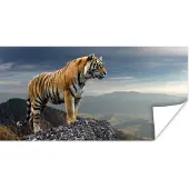 PosterMonkey Poster Tijger - Berg - Natuur - Landschap - 80x40 cm