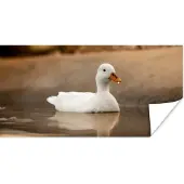 PosterMonkey Poster Eend - Vogel - Water - Wit - 40x20 cm
