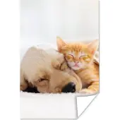 PosterMonkey Poster Dieren - Hond - Kitten - Rood - 80x120 cm