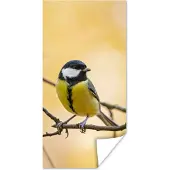 PosterMonkey Poster Koolmees - Tak - Vogel - Dieren - 75x150 cm