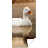 PosterMonkey Poster Eend - Vogel - Water - Wit - 60x120 cm