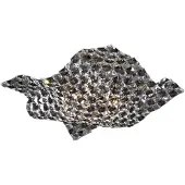 Schuller Valencia Wand- en plafondlamp Saten, kristal, 41 cm SATEN, helder / transparant, Woon-/ Eetkamer, Kristal, Wandlamp