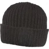 Regatta Unisex Torch II Beanie voor volwassenen (Zwart)
