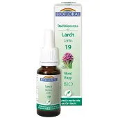 Biofloral Bachbloesems 19 Lariks Bio 20 ml Druppels