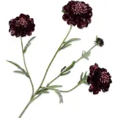 Silk-ka Kunstbloem-Zijden Bloem Scabiosa Paars 80 cm