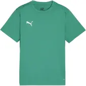 Puma Trainingsshirt teamGOAL - Groen/Wit Kids