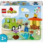 LEGO 10419 Duplo Bijen En Bijenkorven