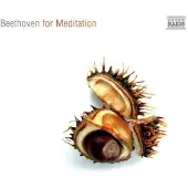 OUTHERE Various Artists - Beethoven For Meditation (CD)