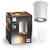 Philips Pillar Opbouwspot - 1 Spot + Dimmer - Wit