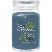 Yankee candle 4x Geurkaars Large Jar Bayside Cedar Signature 567 Gr