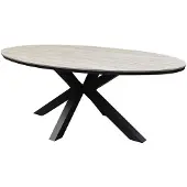 AVH-Collectie Salvador dining tuintafel ovaal 180x100xH75 cm polywood