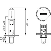 Bosch 1 987 301 088 Gloeilamp, verstraler
