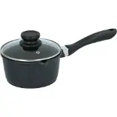 Alpina Steelpan met Deksel 16 cm - Sauspan - Alle Warmtebronnen - RVS