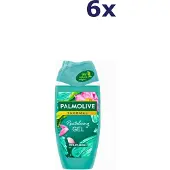 Palmolive Thermal - Douchegel - Revitalising - 6x 250ml - Voordeelverpakking