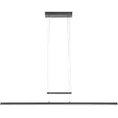 Steinhauer Hanglamp Profilo 110cm Zwart Led dimbaar