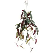 PrettyPlants Begonia Maculata Kunst Hangplant 95cm