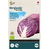 Buzzy Organic Rode Kool Klimaro F1 (BIO)
