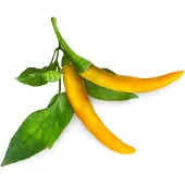 Click and Grow -- Smart Garden Refill 3-pack Yellow Chili Pepper