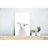 MuchoWow Wanddecoratie Metaal - Aluminium Schilderij Industrieel - Lam - Wit - Dieren - Natuur - 20x30 cm - Dibond - Foto op aluminium - Industriële muurdecoratie - Voor de woonkamer/slaapkamer