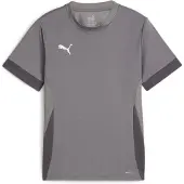 Puma Trainingsshirt teamGOAL - Grijs/Wit Kids