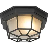 QAZQA Landelijke plafondlamp donkergrijs IP44 - Bri S